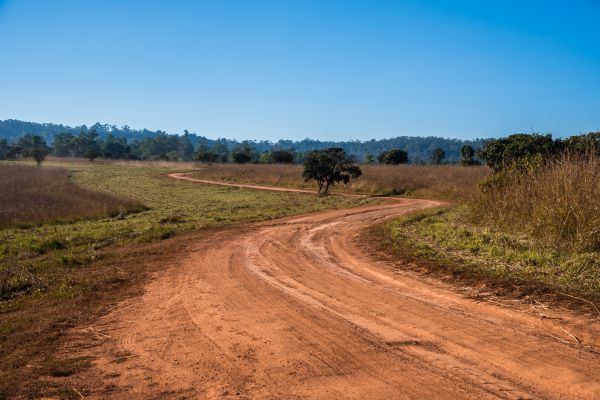 Dirt Driveway Repair in Statesville