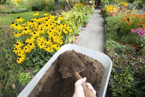 Cost of Topsoil Installation in Statesville