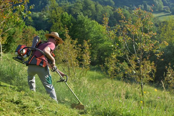 Cost of Slope Trimming in Statesville